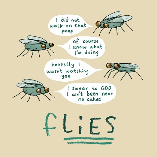 Puns & WordPlay Sophie Corrigan